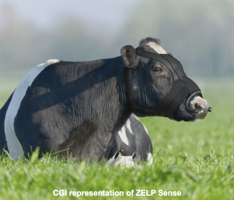 ZELP Sense is now available for pre-order